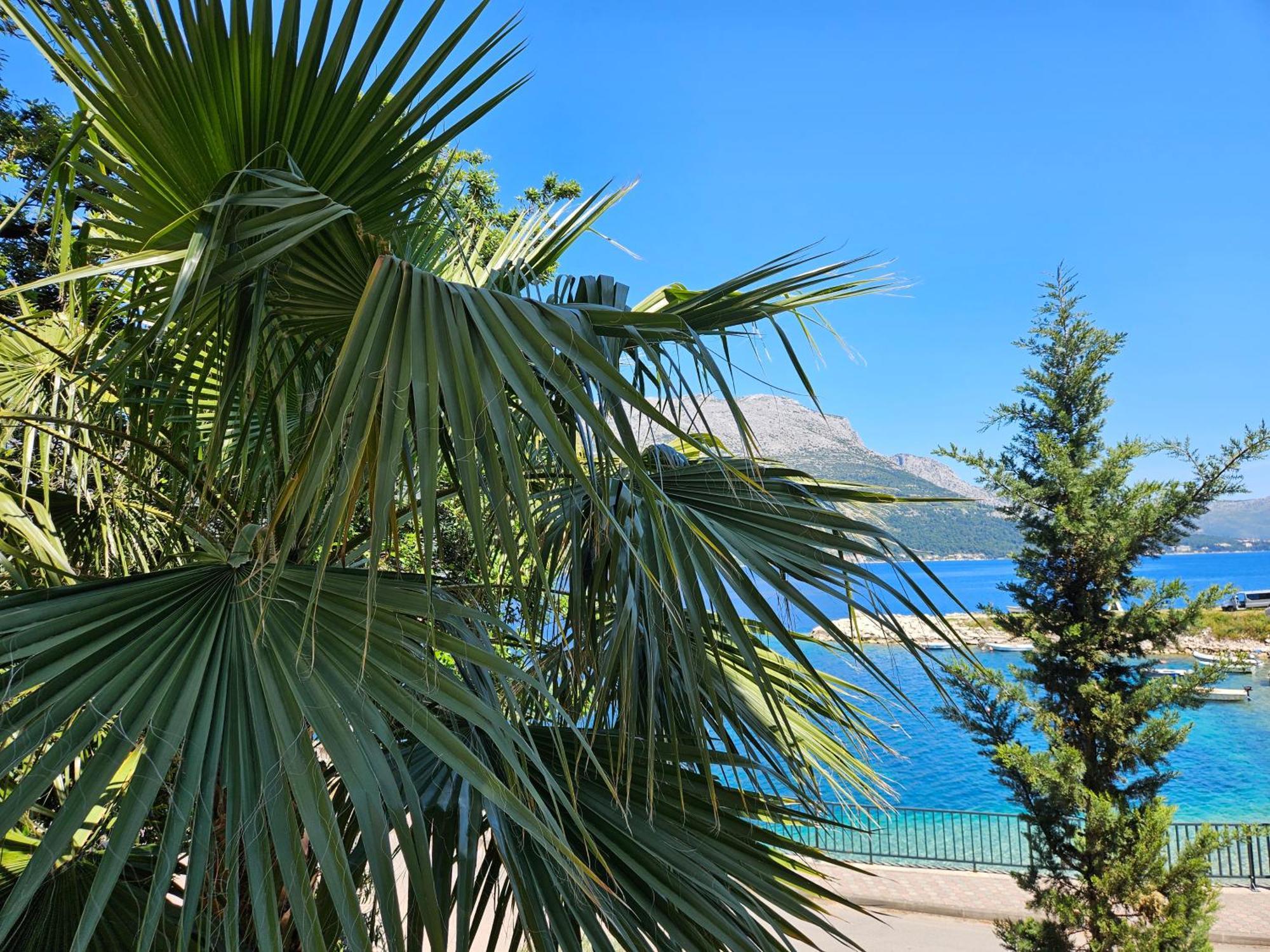 Villa Jade Apartments Front Row Sea View - Walk To Korcula Old Town Medvinjak Dış mekan fotoğraf